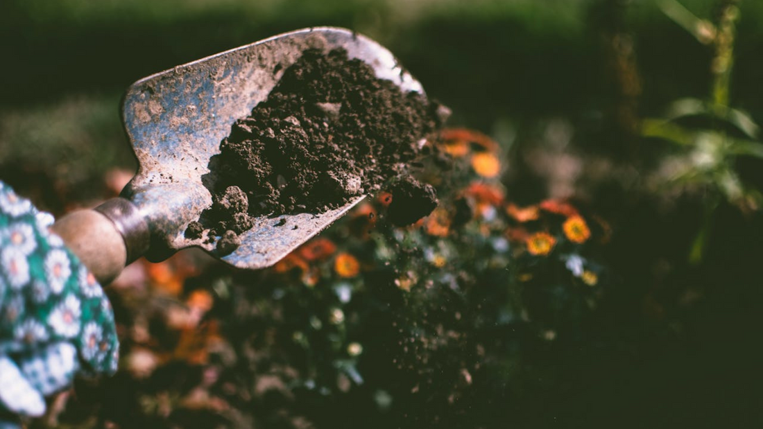 Garden trowel with soil, digging in the garden for planting.