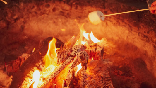 Marshmallow being toasted on a fire