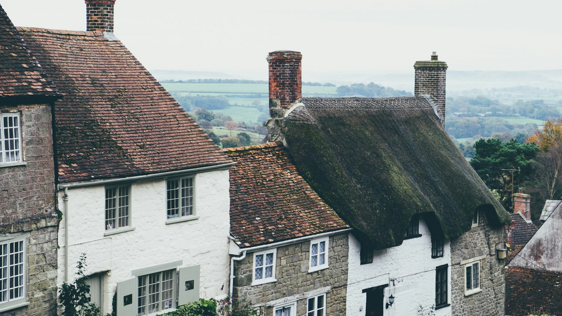 Thatched country terraces, with fields in the background