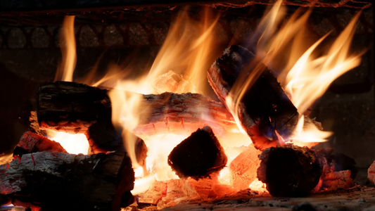 Kiln dried logs burning 