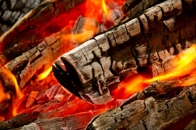 Your Guide to Smokeless and Solid Fuels